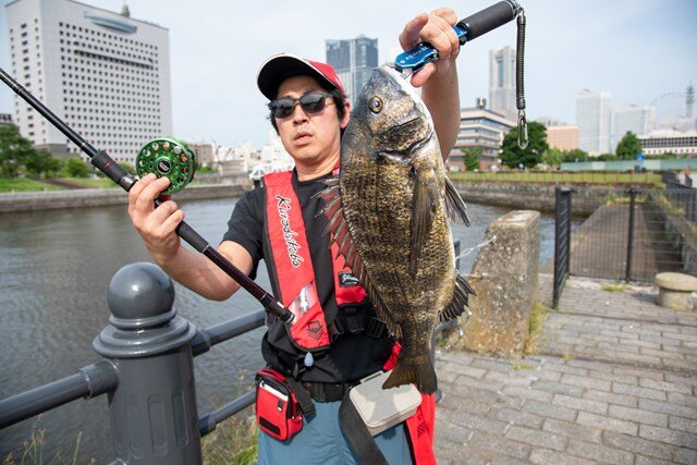 神奈川県／みなとみらい 首都圏のヘチ釣り特区でクロダイを狙う | つり